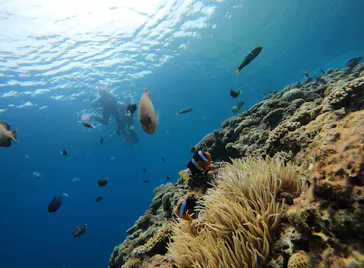 武藤潜水に投稿された画像（2023/5/24）