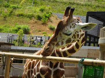 日立市かみね動物園に投稿された画像（2023/5/21）