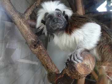 日立市かみね動物園に投稿された画像（2023/5/21）