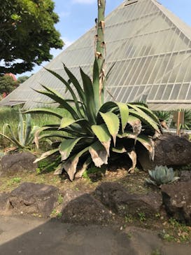 伊豆シャボテン動物公園に投稿された画像（2023/5/24）