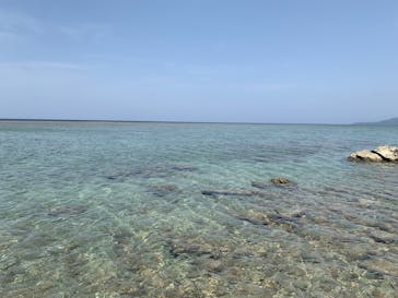 青の洞窟専門店　沖縄ダイビングショップ和に投稿された画像（2023/5/25）