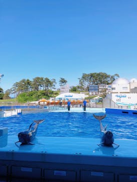 越前松島水族館に投稿された画像（2023/5/25）