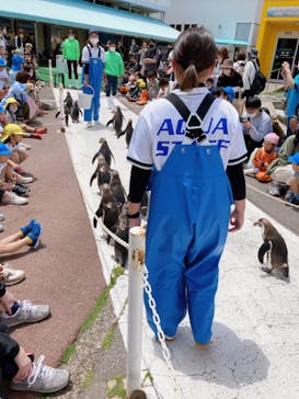 越前松島水族館に投稿された画像（2023/5/25）