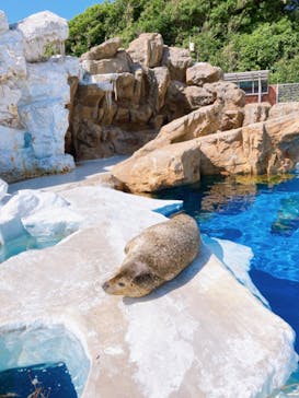 越前松島水族館に投稿された画像（2023/5/25）