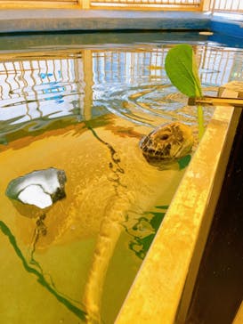 越前松島水族館に投稿された画像（2023/5/25）