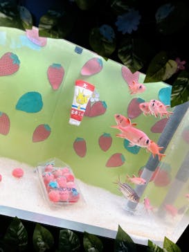 串本海中公園水族館に投稿された画像（2023/5/25）