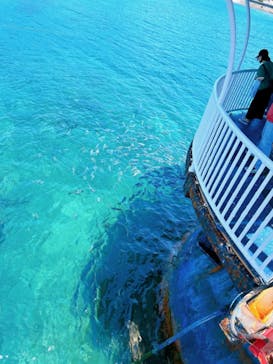 串本海中公園水族館に投稿された画像（2023/5/25）