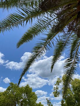 淡路ファームパーク イングランドの丘に投稿された画像（2023/5/25）