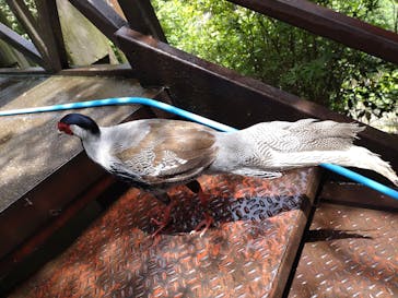 伊豆シャボテン動物公園に投稿された画像（2023/5/25）