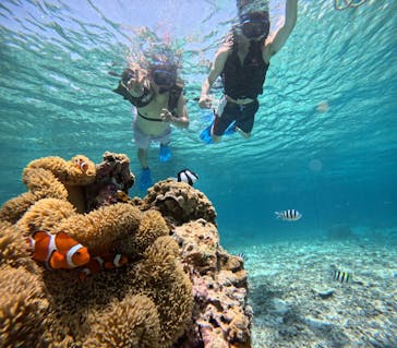 宮古島 ADVENTURE PiPi（ミヤコジマ アドベンチャー ピピ）に投稿された画像（2023/5/25）