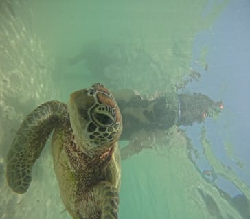 宮古島 ADVENTURE PiPi（ミヤコジマ アドベンチャー ピピ）に投稿された画像（2023/5/25）