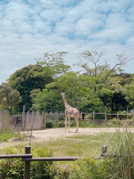 到津の森公園に投稿された画像（2023/5/25）
