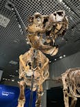 特別展「恐竜博2023」に投稿された画像（2023/5/25）