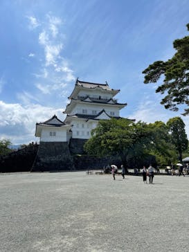 小田原城に投稿された画像（2023/5/25）