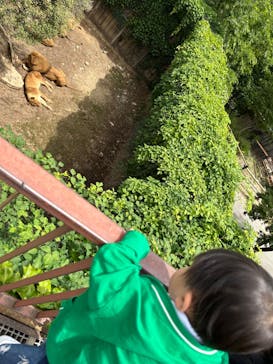 群馬サファリパークに投稿された画像（2023/5/25）