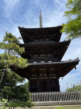 三溪園に投稿された画像（2023/5/25）