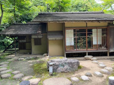 三溪園に投稿された画像（2023/5/25）