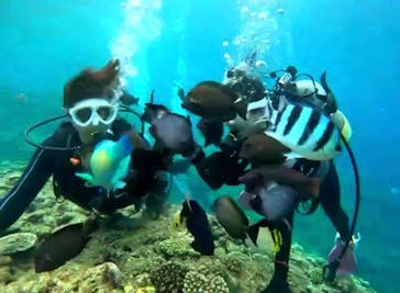 青の洞窟専門店　沖縄ダイビングショップ和に投稿された画像（2023/5/25）