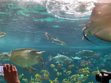 株式会社Gに投稿された画像（2023/5/25）