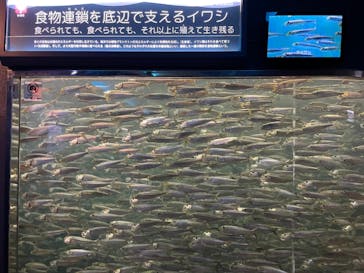 株式会社Gに投稿された画像（2023/5/25）