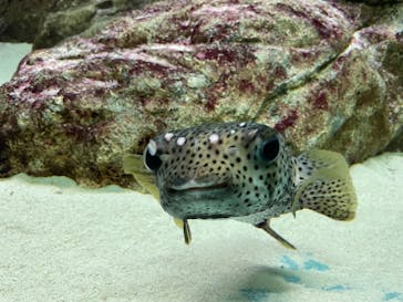 株式会社Gに投稿された画像（2023/5/25）