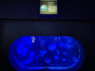 株式会社Gに投稿された画像（2023/5/25）