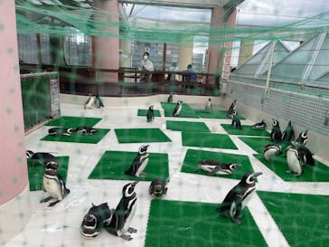 株式会社Gに投稿された画像（2023/5/25）