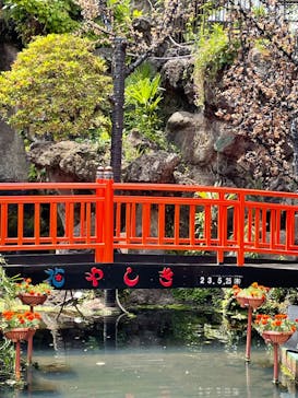 浅草花やしきに投稿された画像（2023/5/25）