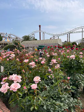 ひらかたパークに投稿された画像（2023/5/25）