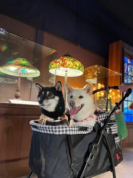 ニューヨークランプミュージアム＆フラワーガーデンに投稿された画像（2023/5/25）