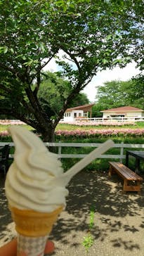 成田ゆめ牧場に投稿された画像（2023/5/25）