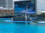 名古屋港水族館に投稿された画像（2023/5/25）