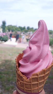 京成バラ園に投稿された画像（2023/5/25）