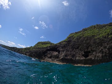 DIVING-SHOP SUNSに投稿された画像（2023/5/26）