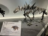 特別展「恐竜博2023」に投稿された画像（2023/5/26）