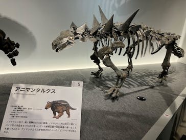 特別展「恐竜博2023」に投稿された画像（2023/5/26）