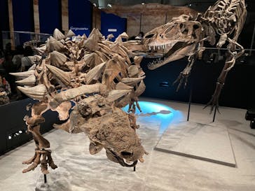 特別展「恐竜博2023」に投稿された画像（2023/5/26）