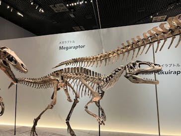 特別展「恐竜博2023」に投稿された画像（2023/5/26）