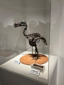 特別展「恐竜博2023」に投稿された画像（2023/5/26）