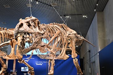特別展「恐竜博2023」に投稿された画像（2023/5/26）