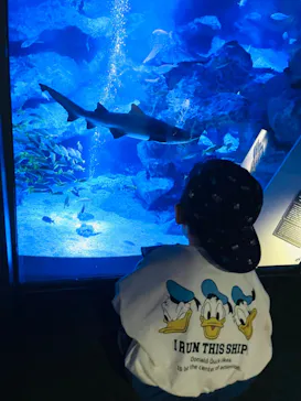 すみだ水族館に投稿された画像（2023/5/26）