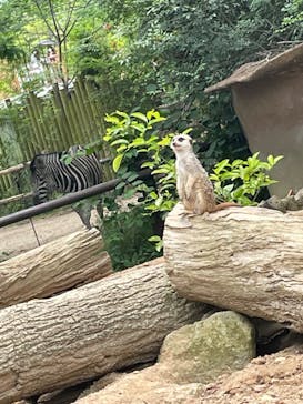 到津の森公園に投稿された画像（2023/5/26）