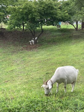 熊谷天然温泉　花湯スパリゾートに投稿された画像（2023/5/26）