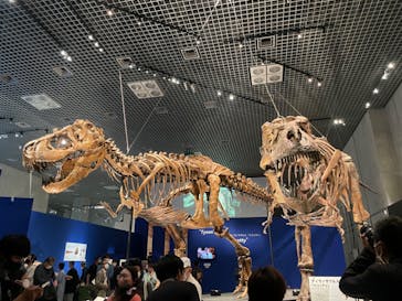 特別展「恐竜博2023」に投稿された画像（2023/5/26）