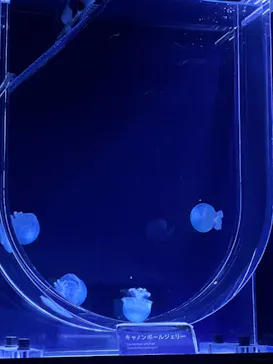 すみだ水族館に投稿された画像（2023/5/26）