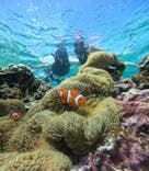 宮古島 ADVENTURE PiPi（ミヤコジマ アドベンチャー ピピ）に投稿された画像（2023/5/26）