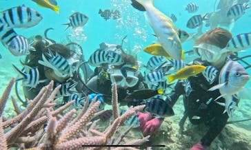 青の洞窟専門店　沖縄ダイビングショップ和に投稿された画像（2023/5/26）