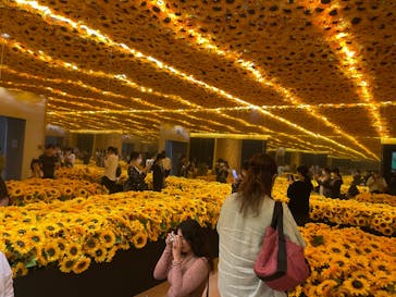 ゴッホ・アライブ神戸に投稿された画像（2023/5/26）