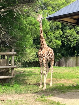 東武動物公園に投稿された画像（2023/5/26）