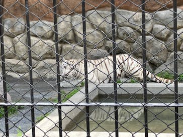 東武動物公園に投稿された画像（2023/5/26）